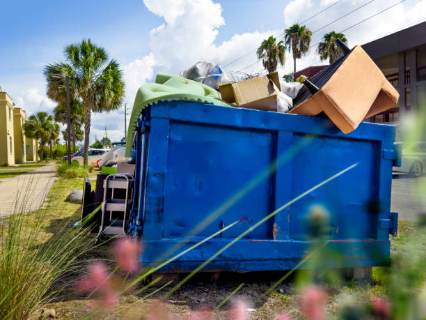 Best Dumpster Rental Services  in View Park Windsor Hills, CA